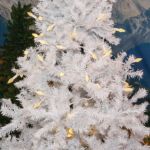 Coaxial *NEW* TrueTwinkle® Warm White 70 LED C6 Strawberry Mini Lights Commercial Grade on White Wire