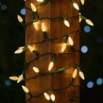 Coaxial *NEW* TrueTwinkle® Warm White 70 LED C6 Strawberry Mini Lights Commercial Grade on White Wire