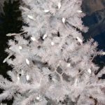 Coaxial *NEW* TrueTwinkle® Pure White 70 LED C6 Strawberry Mini Lights Commercial Grade on White Wire