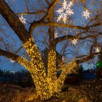 Commercial Grade Wide Angle 50 LED Old Color Warm White (19WW) 25' Long on Green Wire