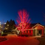 Commercial Grade Wide Angle 50 LED Red 25' Long on Green Wire