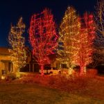 50 LED Red LED Christmas Lights 11' Long on Green Wire