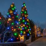 50 Lime Green LED 6" Sphere
