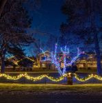 Commercial Grade Wide Angle 70 LED Multi Color 24' Long on Green Wire