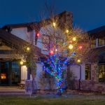 Commercial Grade Wide Angle 70 LED Multi Color 35.5' Long on Green Wire