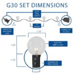 25 G30 Globe Light String Set with Clear Bulbs on Black Wire