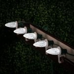 PeakPro Pure White C7 LED Replacement Bulbs 25 Pack