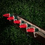 PeakPro Red C7 LED Replacement Bulbs 25 Pack
