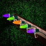 PeakPro Lime/Purple/Orange C7 LED Replacement Bulbs 25 Pack