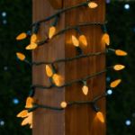Amber 70 LED C6 Strawberry Mini Lights Commercial Grade on Green Wire