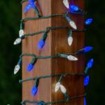 Blue and White 70 LED C6 Strawberry Mini Lights Commercial Grade Green Wire