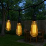 Velora Tint ST19 LED Glass Edison Bulb