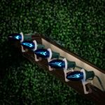 Blue Transparent C7 5 Watt Bulbs