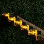 Yellow Transparent C7 5 Watt Bulbs