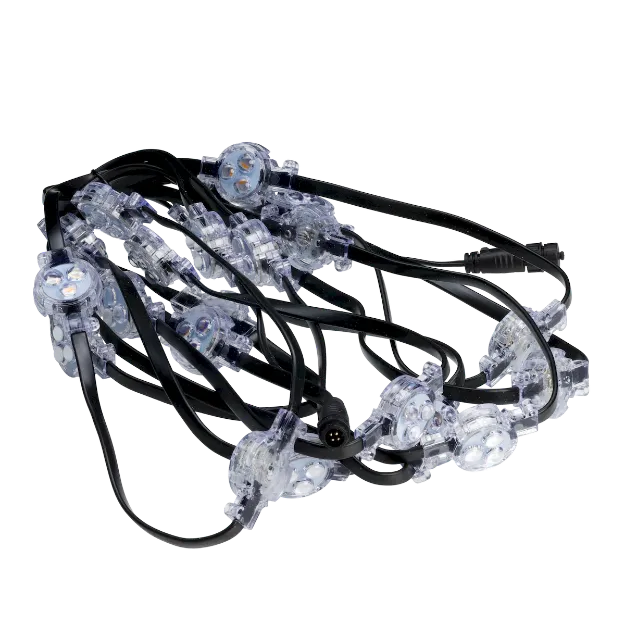 Spektrum+ Twilight Trim RGBW Dot Strand 25-Count