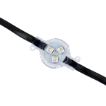 Spektrum+ Twilight Trim RGBW Dot Strand 100-Count